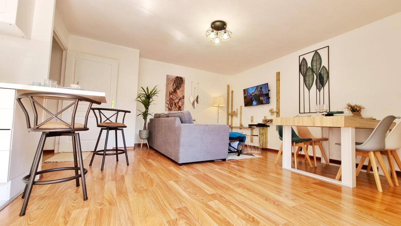 Le Stan - Centre - Parking - Exterieur - Fibre - Relax Bnb 콜마 외부 사진